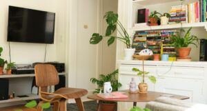 small empty apartment with plants and books