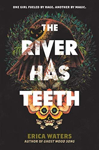 cover image of The River Has Teeth by Erica Waters 