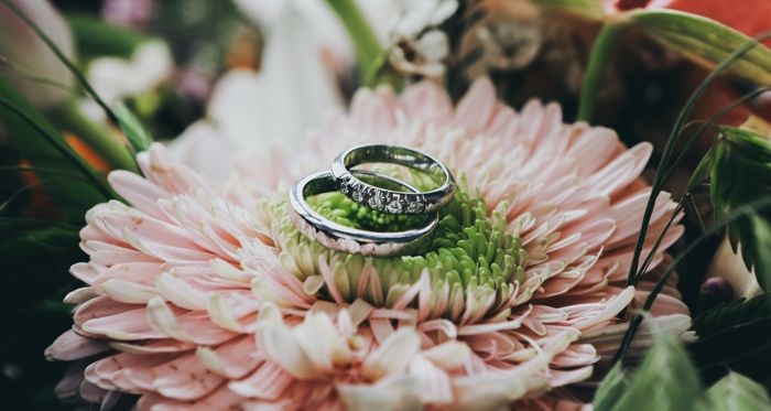 wedding rings on top of a pink flower