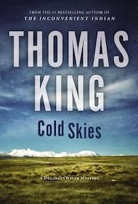 Cold Skies book cover