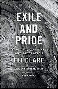 A graphic featuring the cover of Exile and Pride: Disability, Queerness, and Liberation by Eli Claire