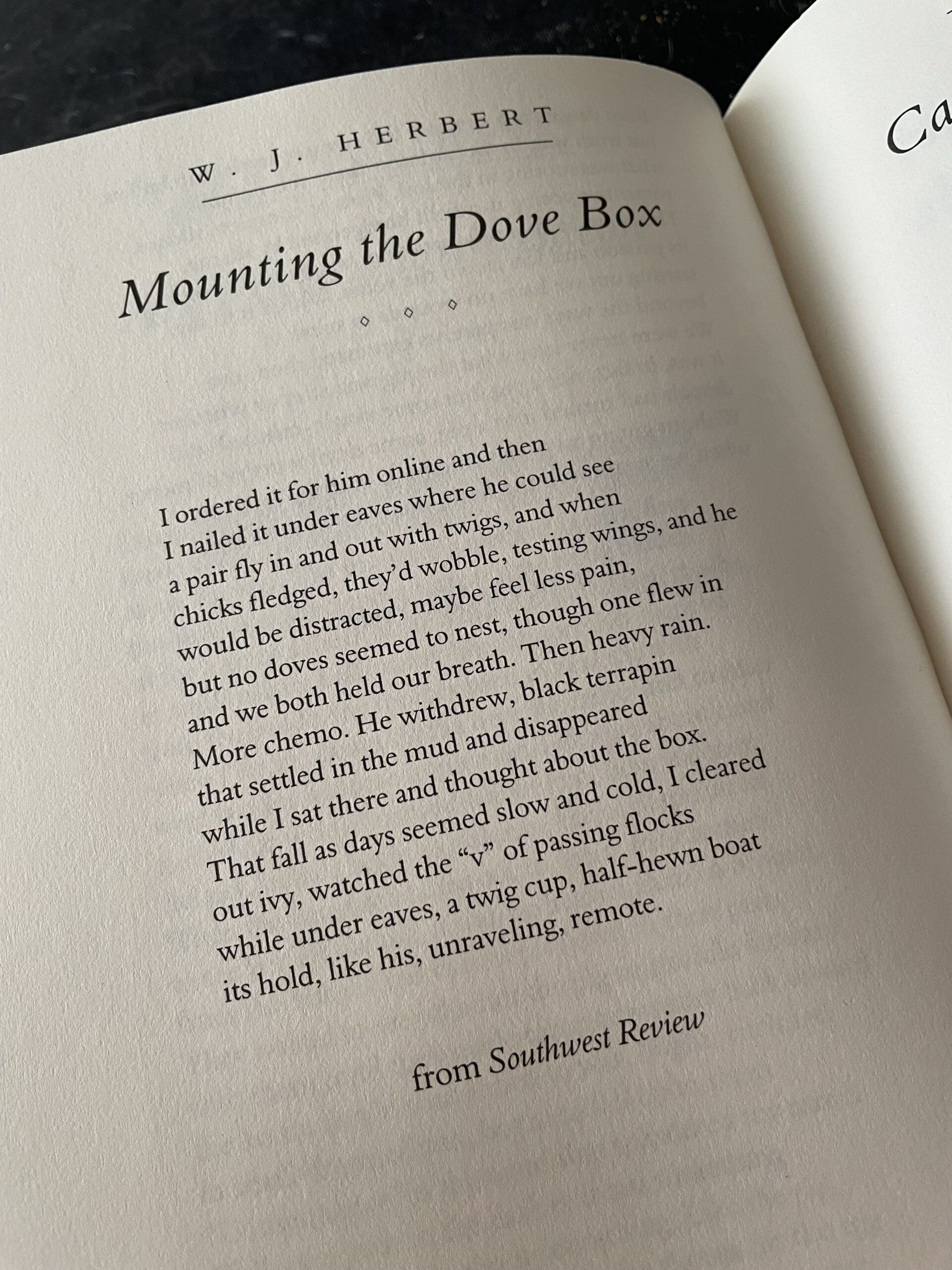 image of Mounting the Dove Box sonnet from WJ Herbert