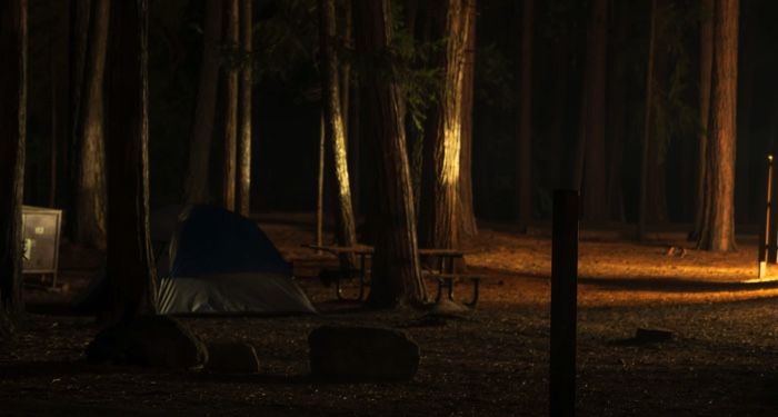 a tent in a mostly dark forest campsite https://unsplash.com/photos/oxkYQoXdL68