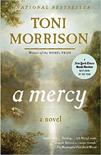 A Mercy Book Cover