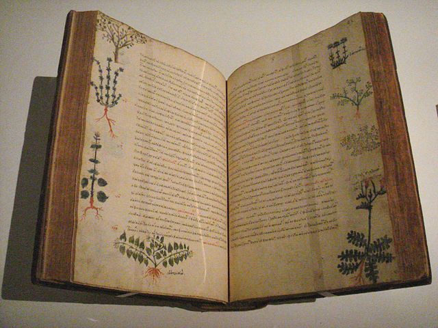 A 15th century Byzantine hand-illustrated edition of De Materia Medica. There are wide margins around the text and four different plants are depicted in the margins of each page. 