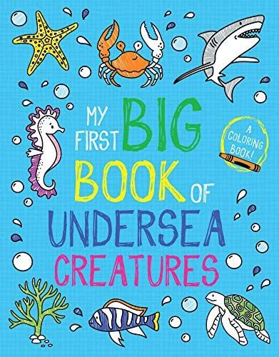 Cover image of My First Big Book of Undersea Creatures by Little Bee Woods, with illustrations of sea creatures around the title text