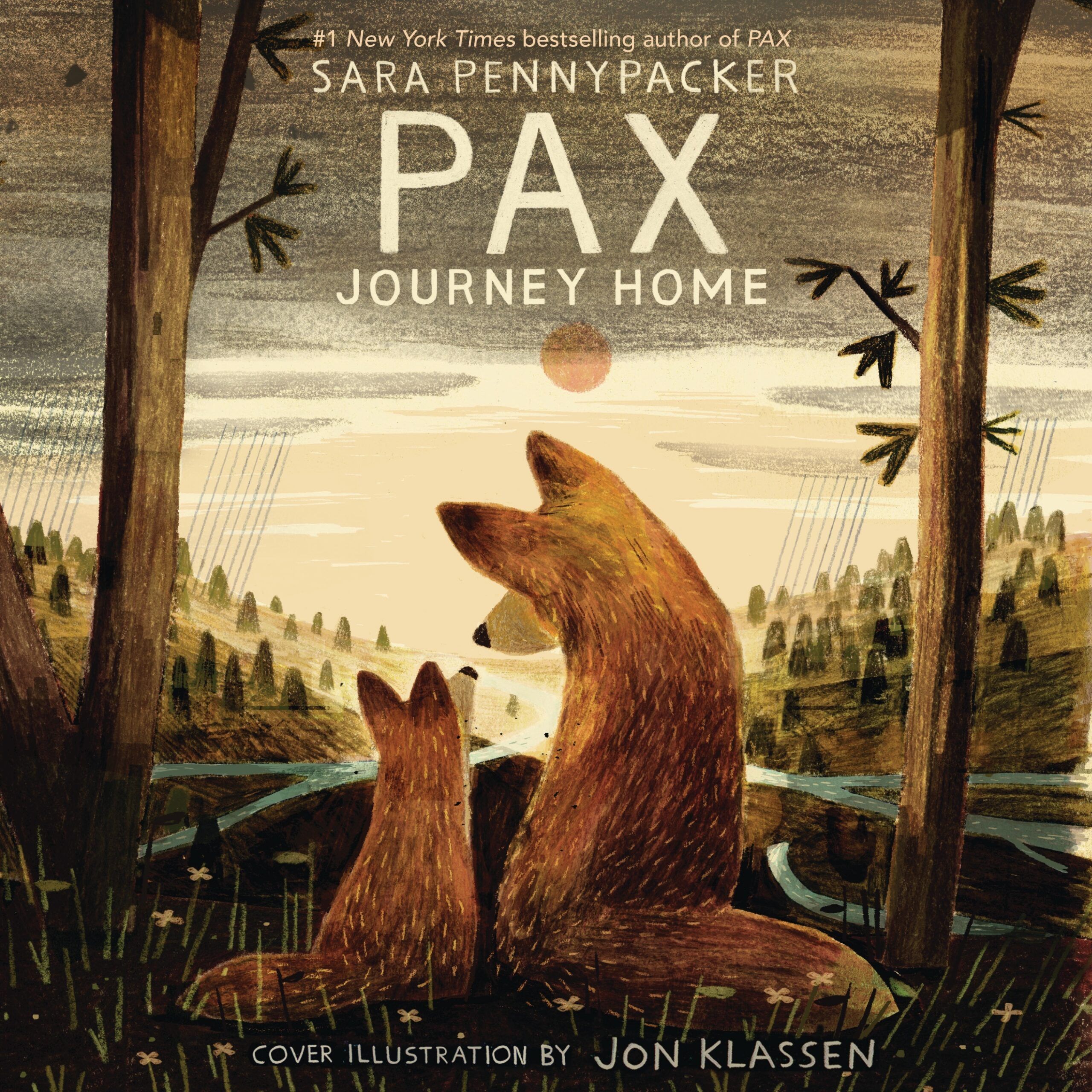 PAX, JOURNEY HOME audiobook cover