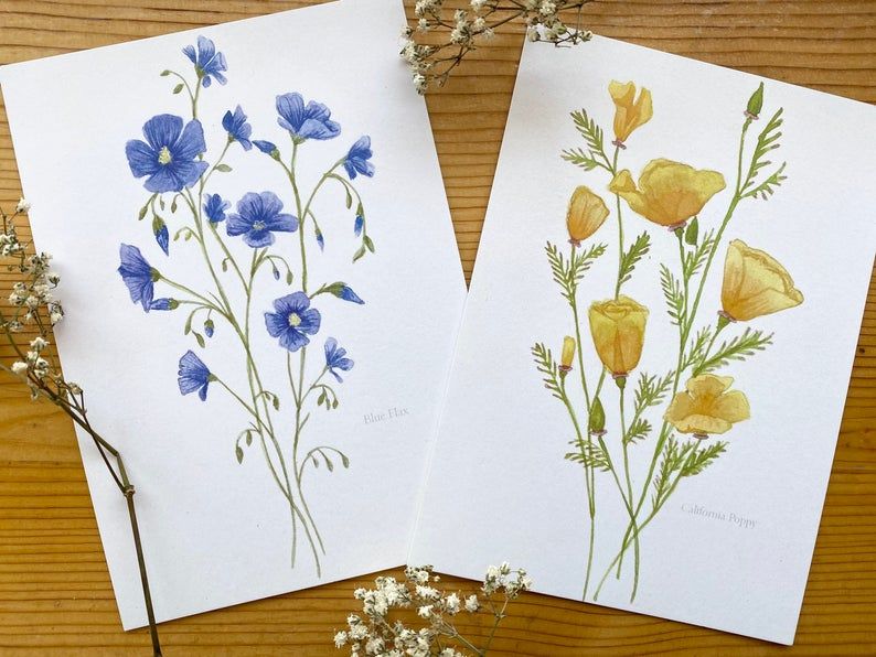 Flower Art Prints - California Poppy/Blue Flax illustrations - Watercolor