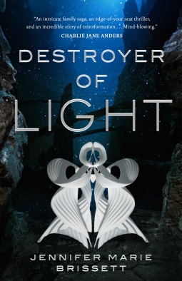 Destroyer of Light Book Cover
