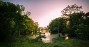 Image of a Mississippi bayou