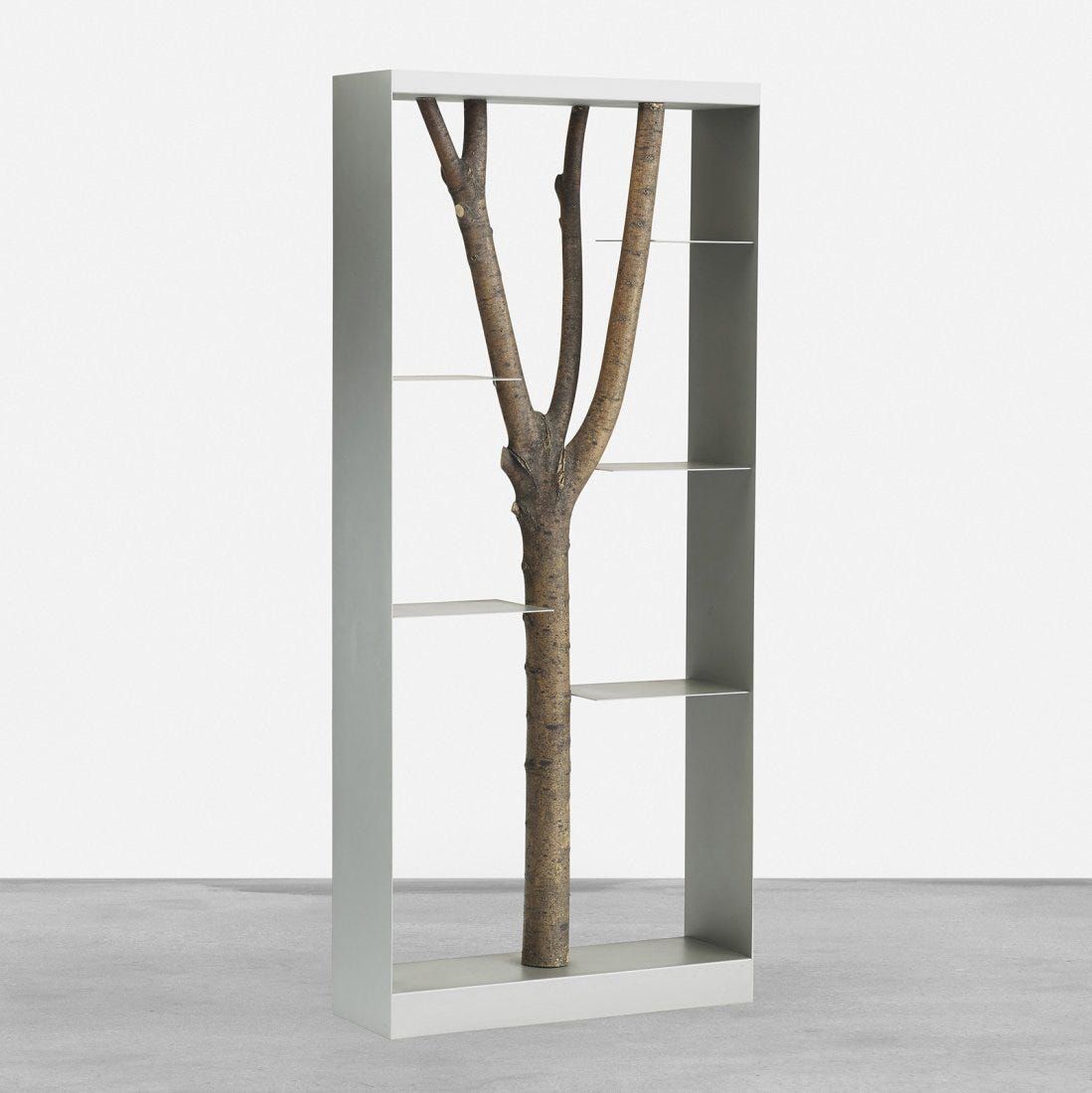 bookcase with branch