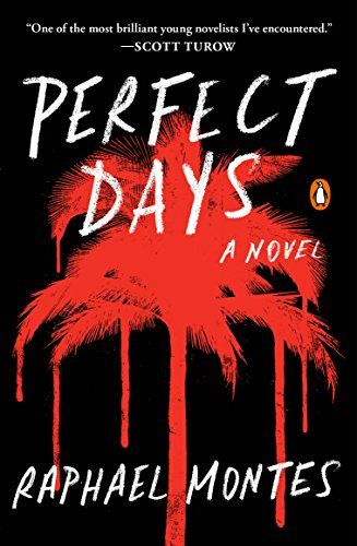 cover of Perfect Days by Raphael Montes