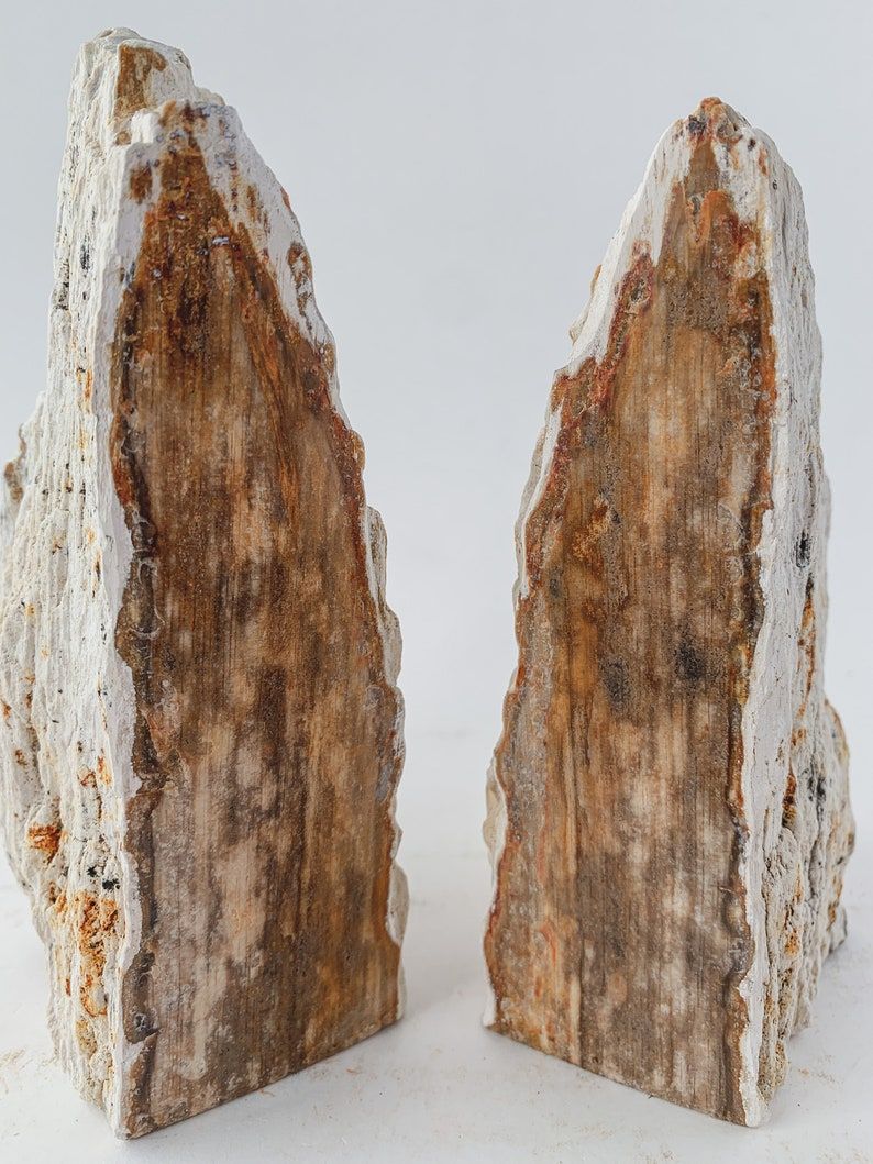 Two tall bookends made of petrified wood.