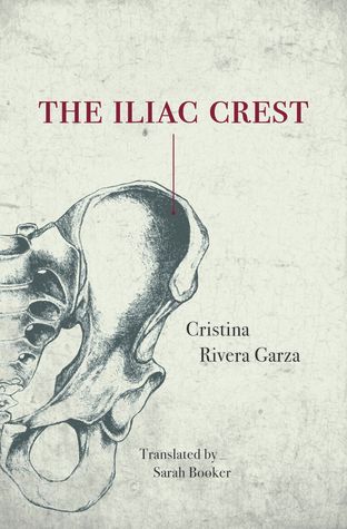The Iliac Crest by Cristina Rivera Garza book cover