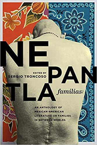 Nepantla Familias cover