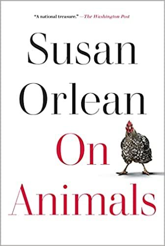 cover of On Animals by Susan Orlean