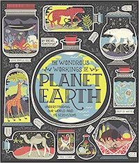 The Wondrous Workings of Planet Earth by Rachel Ignotofsky Book Cover