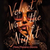 A graphic of the cover of Velvet Was the Night by Silvia Moreno-Garcia
