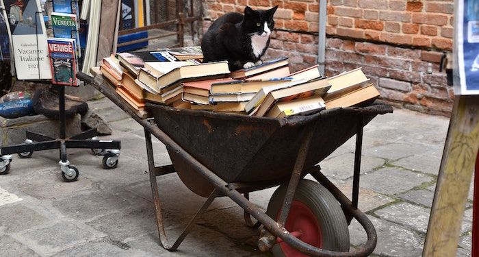 black and white cat sitting on wheelbarrow of books
