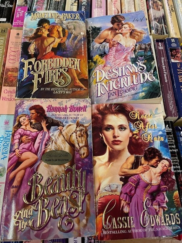 an array of 1980s looking romance novels with clinch covers, pastel covers, and lots of horses