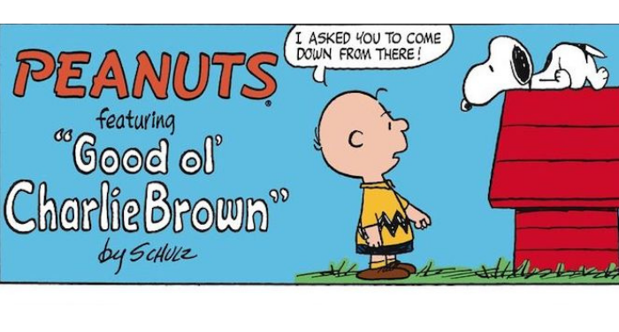 Charlie Brown comic strip