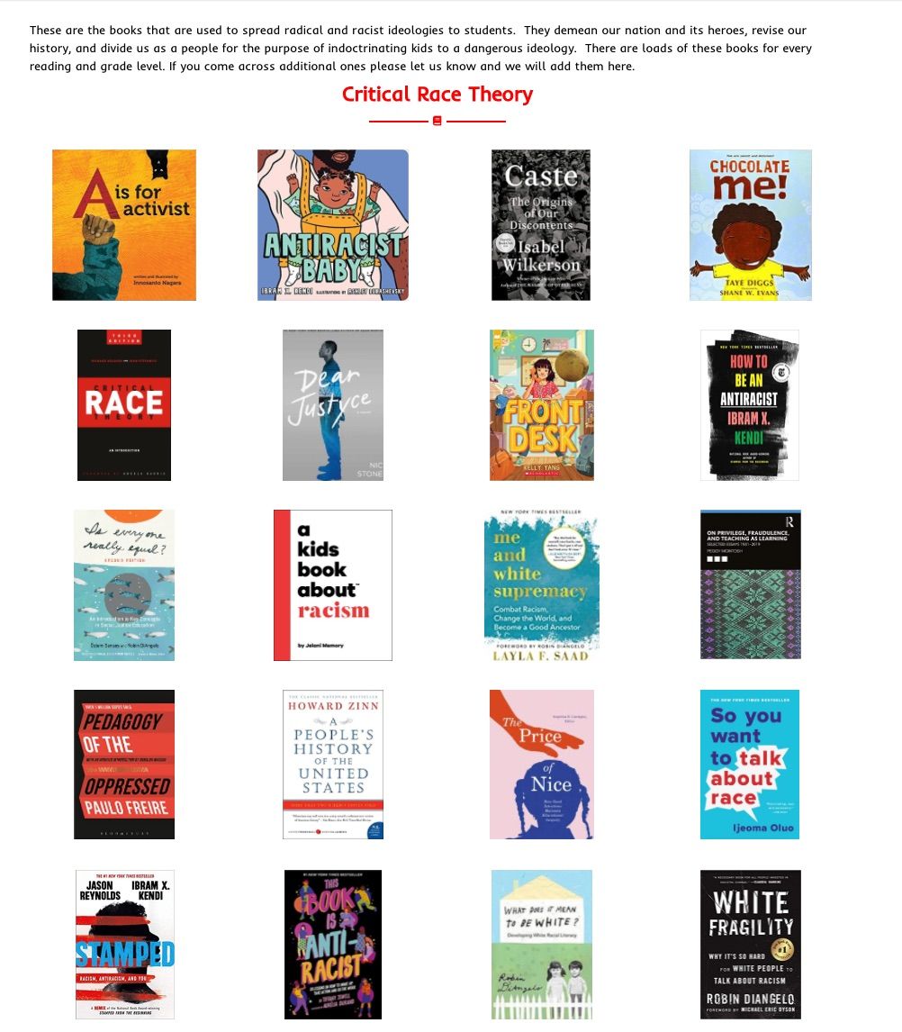 Screen shot of so-called anti-racism books.