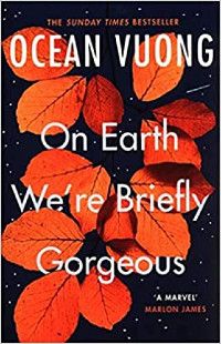 The cover of On Earth We're Briefly Gorgeous