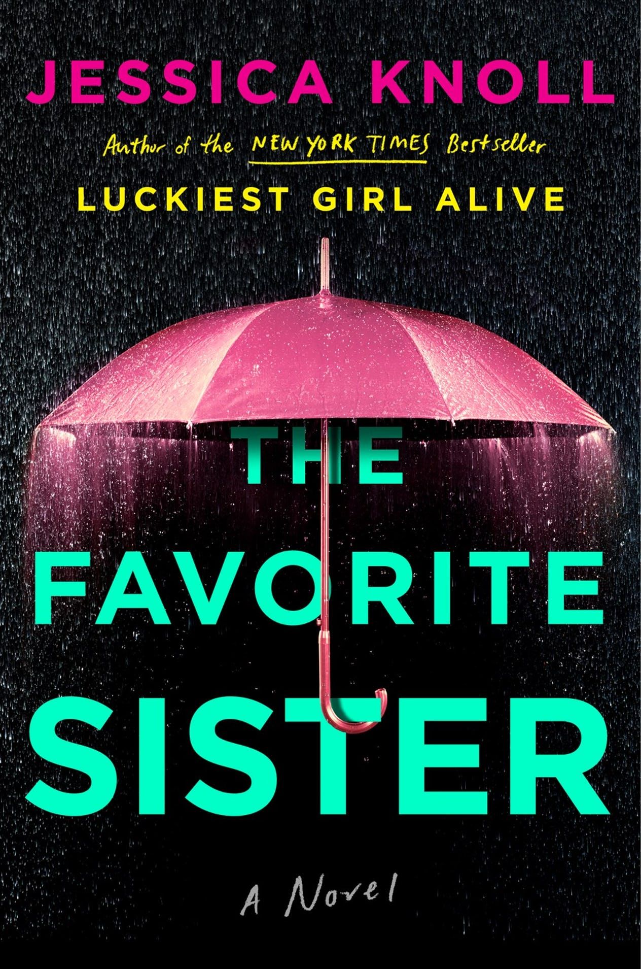 the favorite sister book cover
