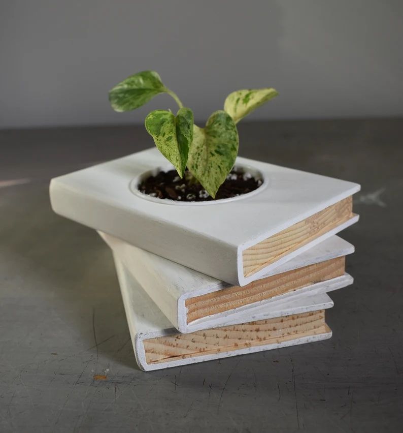 A planter with a tack of three white wooden books, with a plant emerging from the center. 