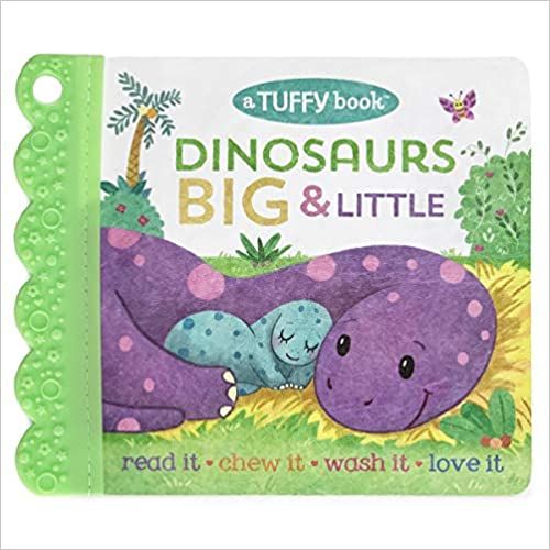 Dinosairs big and little baby book