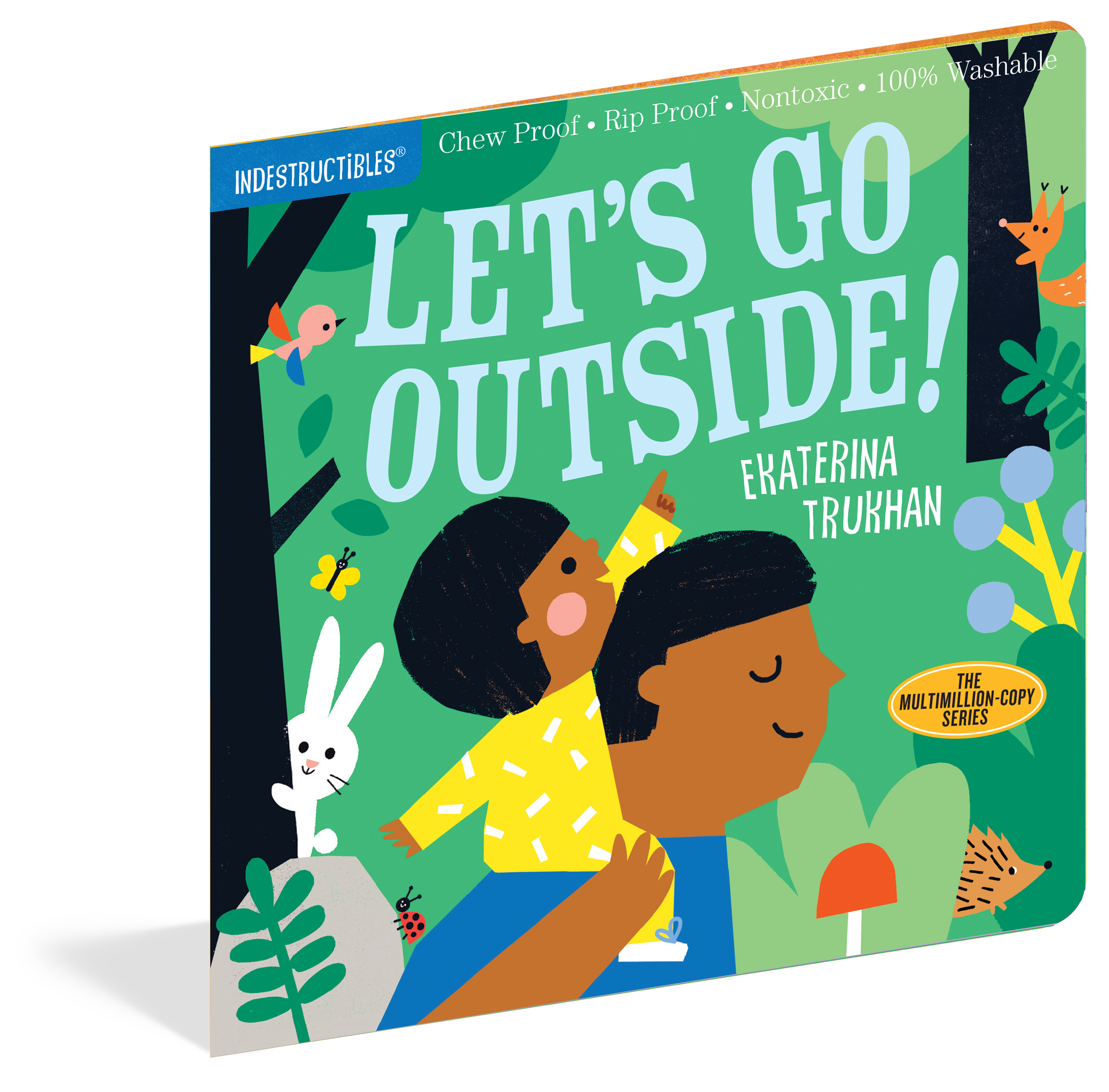Let's go outside baby book