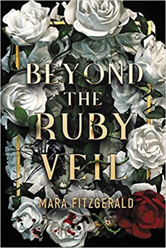 beyond the ruby veil book cover