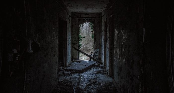 a photo of a dark room with rubble and an old chair, vines growing everywhere, and a doorway far off leading into woods