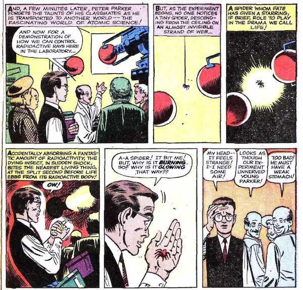 Six panels from Amazing Fantasy #15.

Panel 1: A scientist lectures to a group that includes Peter while gesturing to a large machine that presumably shoots radiation.
Narration Box: And, a few minutes later, Peter Parker forgets the taunts of his classmates as he is transported to another world - the fascinating world of atomic science!
Scientist: And now for a demonstration of how we can control radioactive rays here in the laboratory...

Panel 2: A spider lowers itself on a thread between two red globes that the radiation is generated from.
Narration Box: But, as the experiment begins, no one notices a tiny spider, descending from the ceiling on an almost invisible strand of web...

Panel 3: The radiation turns on, hitting the spider.
Narration Box: A spider whom fate has given a starring, if brief, role to play in the drama we call life!

Panel 4: Peter recoils and clutches at his hand.
Narration Box: Accidentally absorbing a fantastic amount of radioactivity, the dying insect, in sudden shock, bites the nearest living thing, at the split second before life ebbs from its radioactive body!
Peter: Ow!

Panel 5: Peter stares at the squashed spider in his hand.
Peter: A - a spider! It bit me! But, why is it burning so! Why is it glowing that way??

Panel 6: Peter leaves the room while the scientists laugh.
Peter: My head - it feels strange! I - I need some air!
Scientist #1: Looks as though our experiment has unnerved young Parker!
Scientist #2: Too bad! He must have a weak stomach!