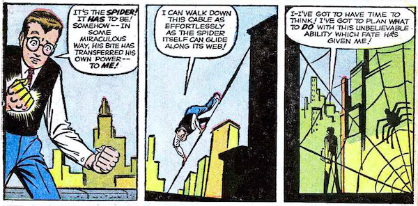 Three panels from Amazing Fantasy #15.

Panel 1: Peter stares at his own glowing hand.
Peter: It's the spider! It has to be! Somehow - in some miraculous way, his bite has transferred his own power - to me!

Panel 2: Peter walks on all fours down a thin cable strung diagonally between buildings.
Peter: I can walk down this cable as effortlessly as the spider itself can glide along its web!

Panel 3: Peter walks out of an alley. There is a spider on a web in the foreground.
Peter: I - I've got to have time to think! I've got to plan what to do with this unbelievable ability which fate has given me!