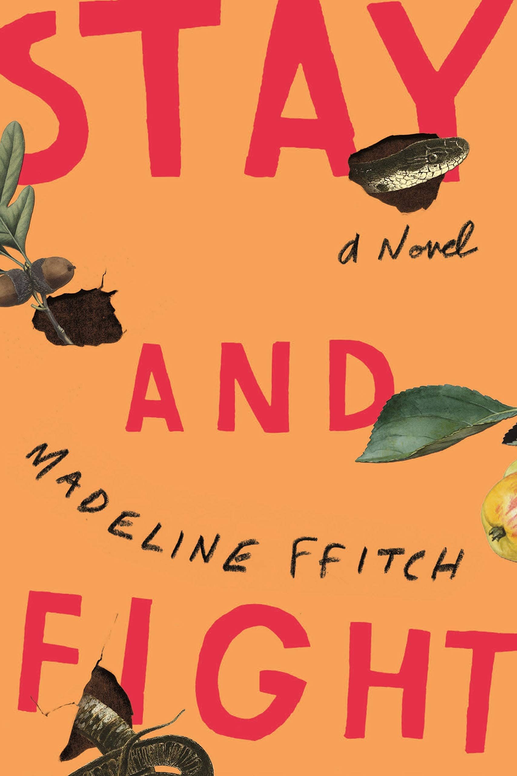 Book cover for Stay and Fight