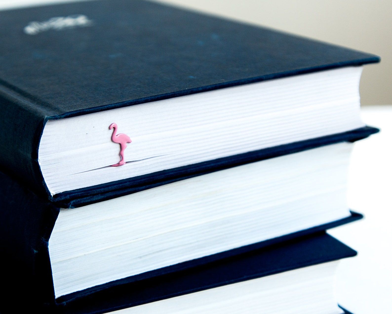 Image of a tiny pink flamingo bookmark peeping out of a black book.