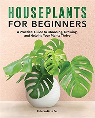 cover of House Plants for Beginners