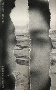 the cover of Minor Detail