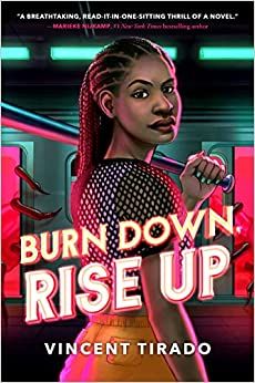 burn down rise up book cover