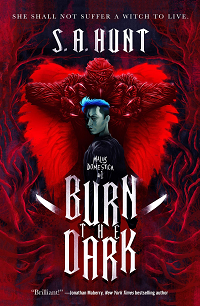 Burn the Dark by S.A. Hunt book cover