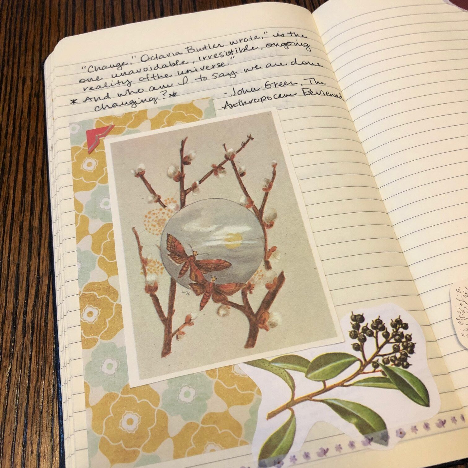 (Photo by Cassie Gutman)

Close-up of finished journal page with patterned papers, a cutout of butterflies, a cutout of a plant, and a quote handwritten messily from The Anthropocene Reviewed.