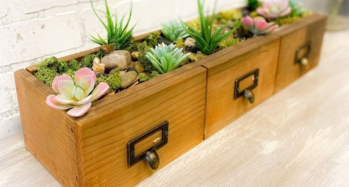 image of a succulent planter made from a library card drawer