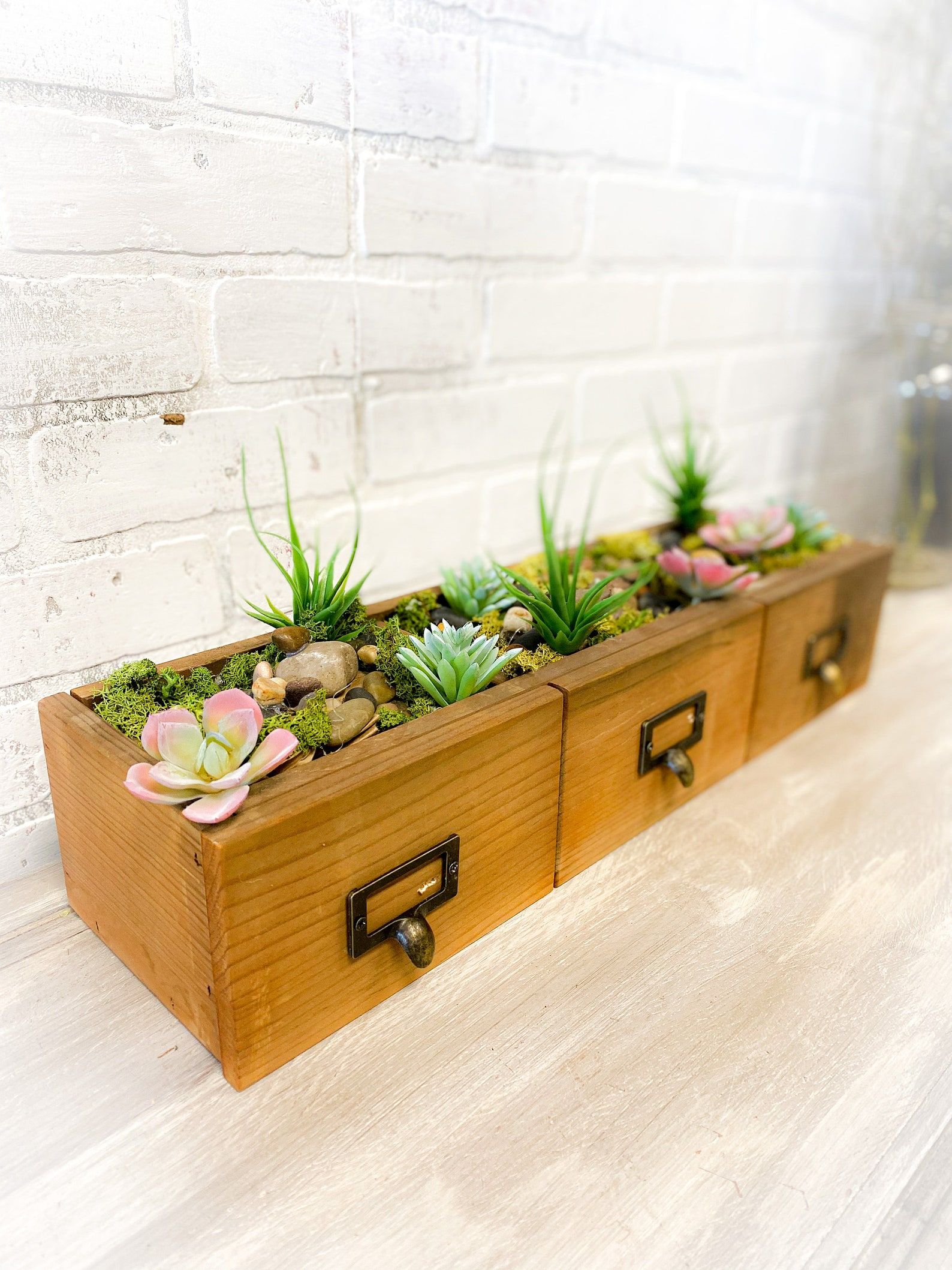 Image of three library card drawers turned into succulent planters. 