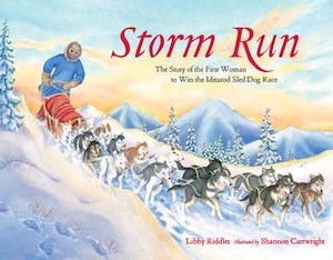 Storm Run cover