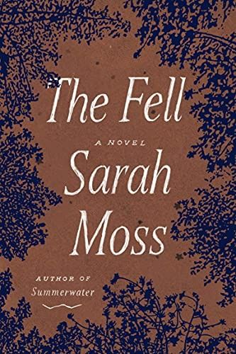 cover of The Fell by Sarah Moss