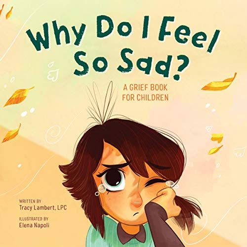 Why Do I Feel Sad Book Cover