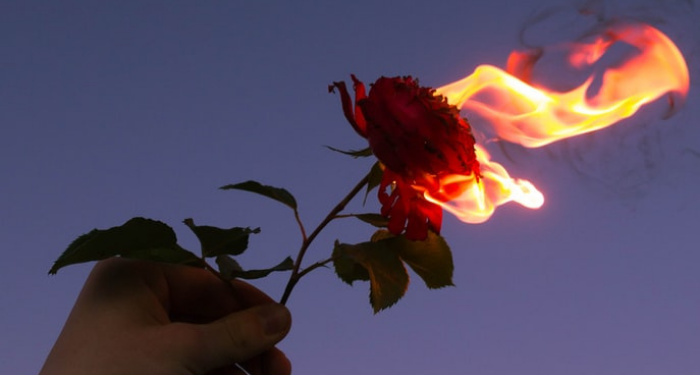 a photo of someone holding up a burning rose