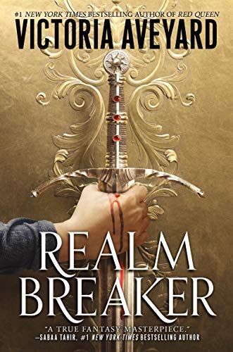 realm breaker book cover