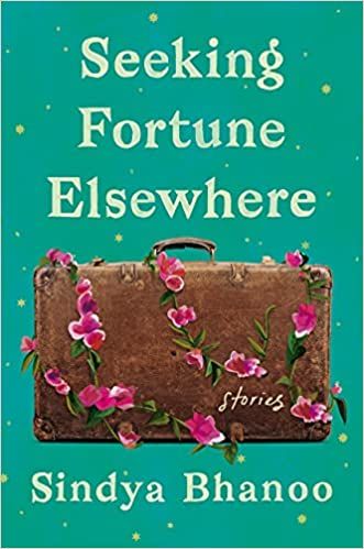 Seeking Fortune Elsewhere by Sindya Bhanoo cover